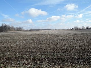 Property photo 1 - LAND AUCTION, 211+/- Acres offered in 3 Tracts